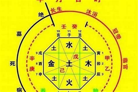 八字五行屬性|生辰八字算命、五行喜用神查詢（免費測算）